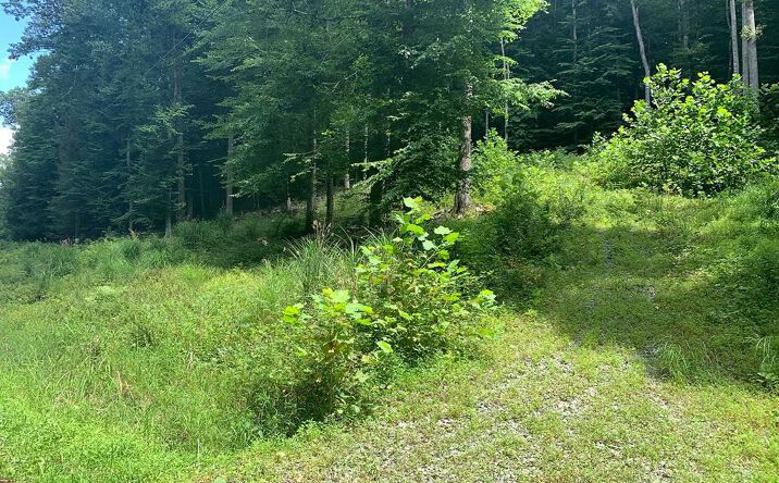 Pictures of Land, Multifamily property located at 00 Mountain Laurel Road, Summersville, WV 26651 for sales - image #1