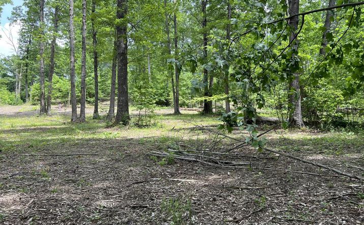 Pictures of Land property located at 1178 Barrington Hill Road # 35, Fayetteville, WV 25840 for sales - image #1
