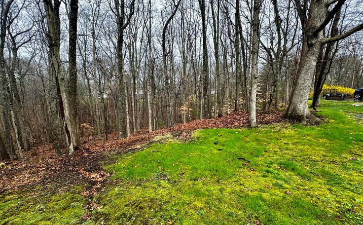 Pictures of Land, Multifamily property located at 110 Eastview Lane, Beckley, WV 25801 for sales - image #1