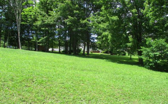 Pictures of Land property located at 00 Saxon Pl, Bluefield, WV 24701 for sales - image #1