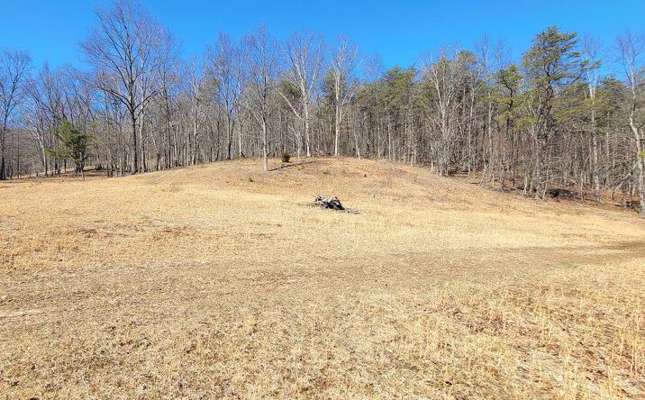 image of property at 2962 GREEN VALLEY RD Peterstown WV 24963