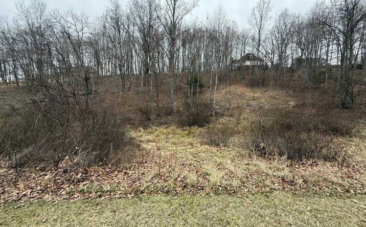 Pictures of Land property located at Lot 626 Quail Valley Dr., Princeton, WV 24740 for sales - image #1