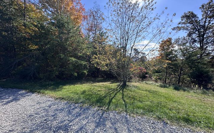 Pictures of Land property located at Lot 52 Bee Tree Dr., Peterstown, WV 24963 for sales - image #1