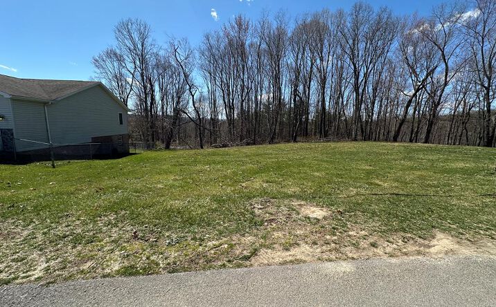 Pictures of Land property located at 0 Diane Lane, Princeton, WV 24740 for sales - image #1