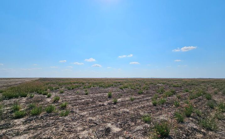 Pictures of Land, Multifamily property located at N/A Turner Rd., Lyford, TX 78569 for sales - image #1