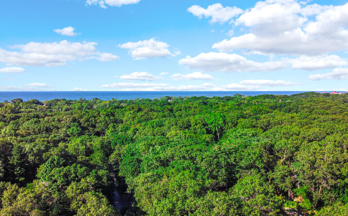 Pictures of Land property located at 8601-15 Forest Avenue, Gary, IN 46403 for sales - image #1