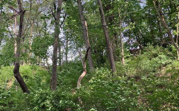 Pictures of Land property located at 98 Ogden Road, Ogden Dunes, IN 46368 for sales - image #1