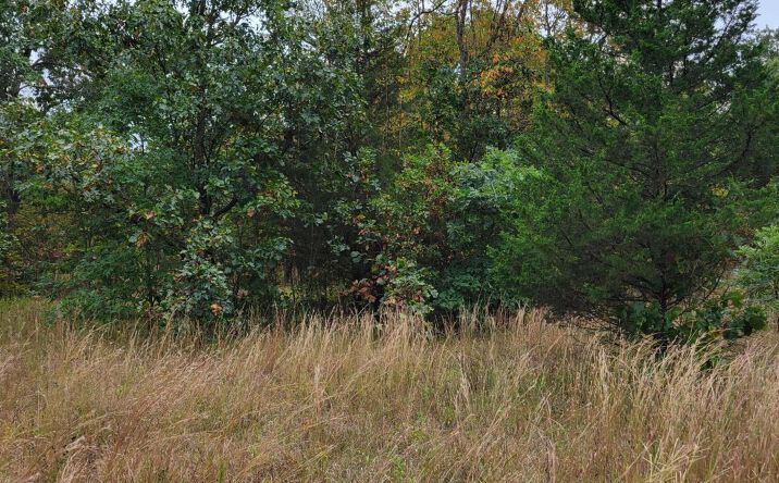 Pictures of Land property located at Lot 2 N 100 E, Lake Village, IN 46349 for sales - image #1