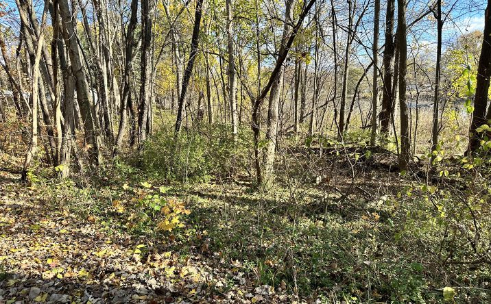 Pictures of Land property located at N Hudson Boulevard, New Carlisle, IN 46552 for sales - image #1