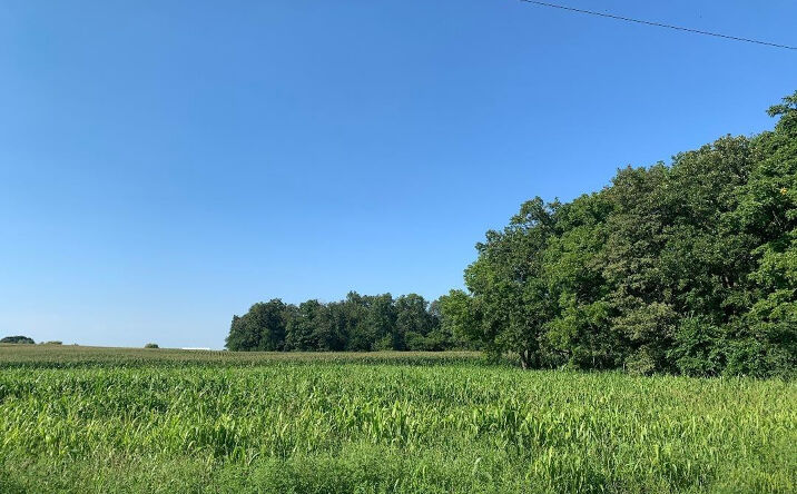 Pictures of Land property located at 0-1 Acre 150 S, Rensselaer, IN 47978 for sales - image #1