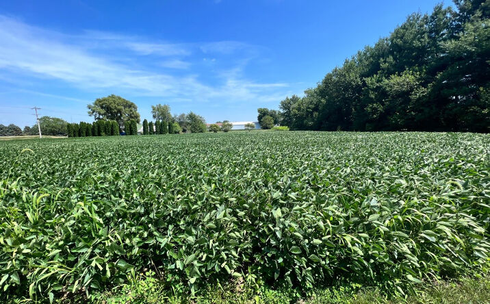 Pictures of Land property located at 0-Lot 2 Owen Street, Rensselaer, IN 47978 for sales - image #1
