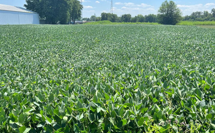 Pictures of Land property located at 0-Lot 4 Wood Road, Rensselaer, IN 47978 for sales - image #1