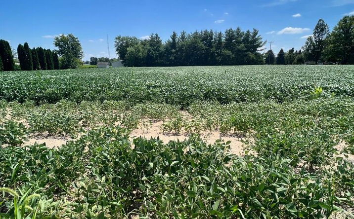 Pictures of Land property located at 0-Lot 1 Wood Road, Rensselaer, IN 47978 for sales - image #1