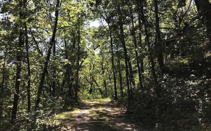 Pictures of Land property located at 602 E Beverly Drive, Beverly Shores, IN 46301 for sales - image #1