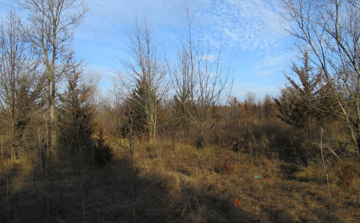 Pictures of Land property located at 0-Lot 12 Grant Street, Merrillville, IN 46410 for sales - image #1