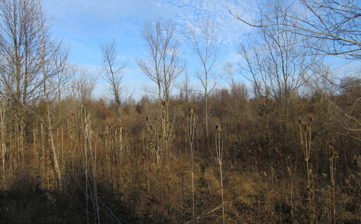 Pictures of Land property located at 0-Lot 11 Grant Street, Merrillville, IN 46410 for sales - image #1