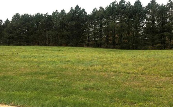 Pictures of Land property located at 3069 N Morning Glory Avenue, Rolling Prairie, IN 46371 for sales - image #1
