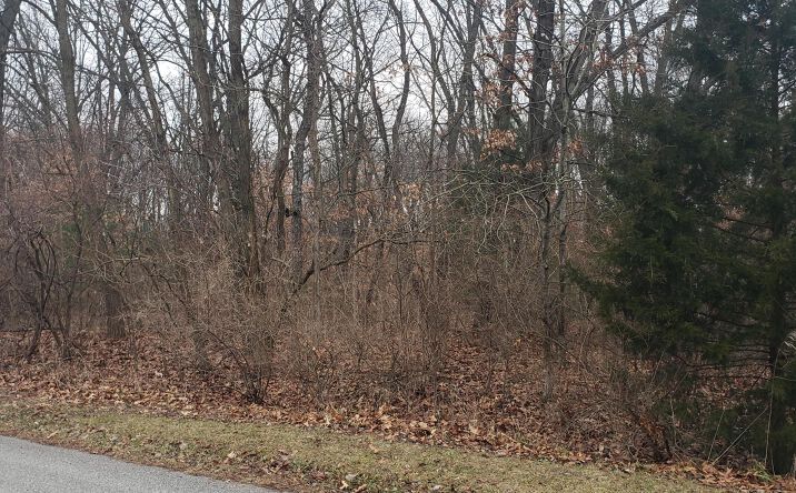 Pictures of Land property located at Lot 10 Shipping Lane W, Walkerton, IN 46574 for sales - image #1