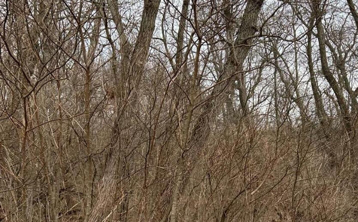 Pictures of Land property located at 0 N 381 W, Lake Village, IN 46349 for sales - image #1