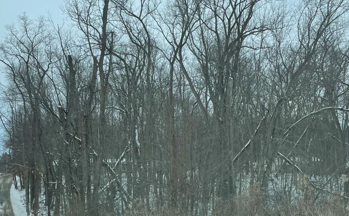 Pictures of Land property located at 0 N Holling Blvd, Hudson Lake, IN 46552 for sales - image #1