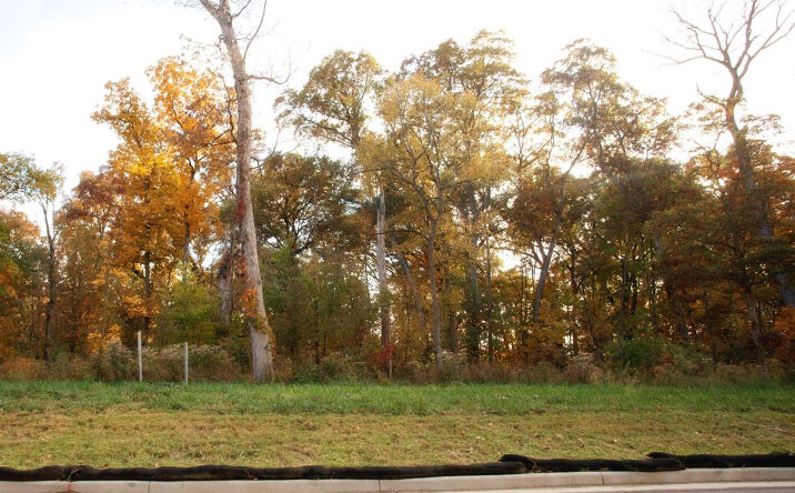 Pictures of Land property located at 3975-lot 88 166th Lane, Lowell, IN 46356 for sales - image #1