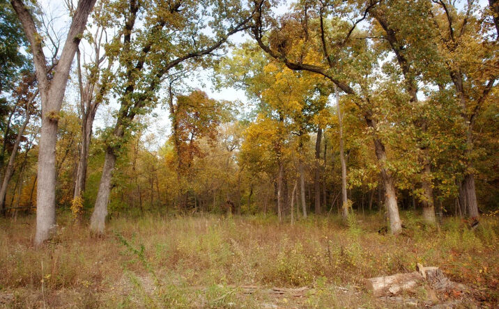 Pictures of Land property located at 3865-lot 86 166th Lane, Lowell, IN 46356 for sales - image #1