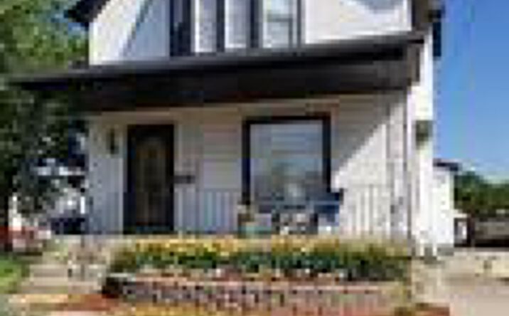 Pictures of Mixed Use, Retail property located at 108-122 W Commercial Avenue, Lowell, IN 46356 for sales - image #1