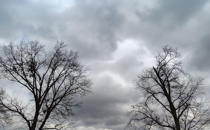 Pictures of Land property located at 0 Pine St & Cannon Dr-ne Cor., Knox, IN 46534 for sales - image #1