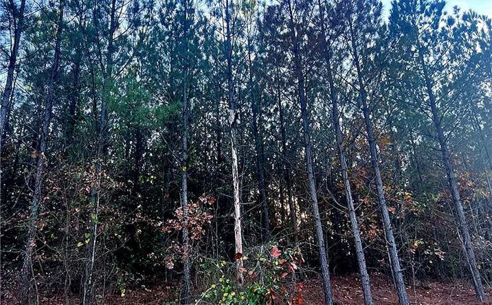Pictures of Land property located at 160 Red Fern Trl, Broken Bow, OK 74728 for sales - image #1