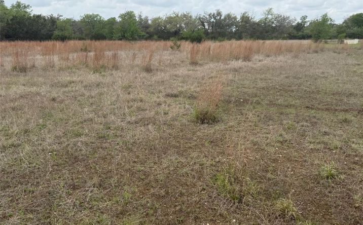 Pictures of Land property located at 14787 Fitzhugh Rd, Austin, TX 78736 for sales - image #1