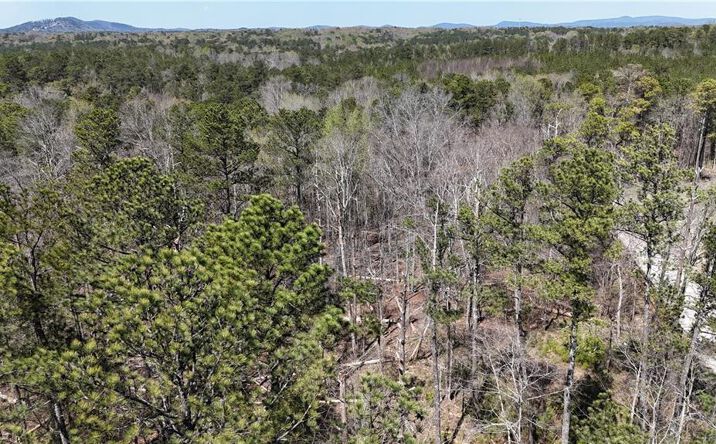 Pictures of Land property located at 0 King Camp Rd, Acworth, GA 30120 for sales - image #1