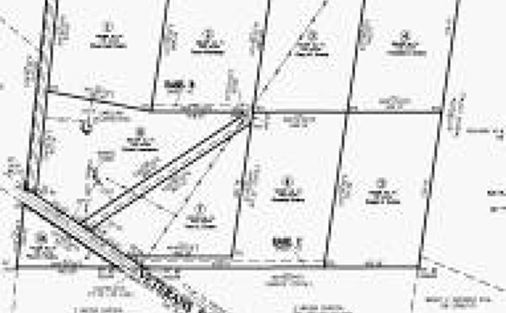 Pictures of Land property located at 000 Veterans Road, Springfield, SC 29146 for sales - image #1