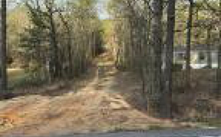 Pictures of Land property located at 0 Outing Club Road, Aiken, SC 29801 for sales - image #1
