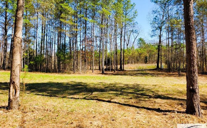 Pictures of Land, Multifamily property located at 470 Hagler Ridge Rd, Springville, TN 38256 for sales - image #1