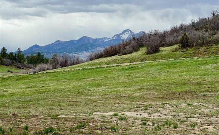 Pictures of Land property located at 266 Dylan Dr, Pagosa Springs, CO 81147 for sales - image #1