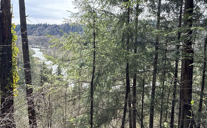 Pictures of Land property located at 149 XX 175th Ave SE, Renton, WA 98059 for sales - image #1
