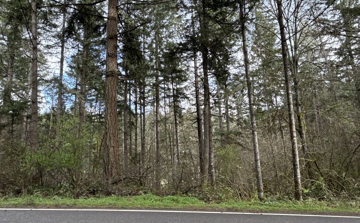 Pictures of Land property located at 17636 E Clear Lake Blvd SE, Yelm, WA 98597 for sales - image #1