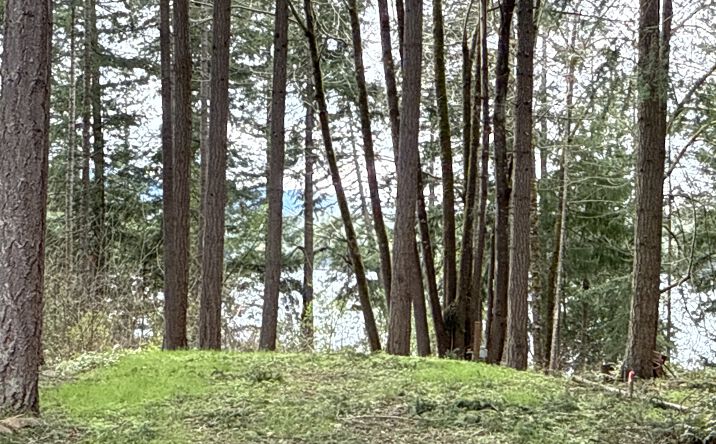 Pictures of Land property located at 18243 SE Suncrest Ct, Yelm, WA 98597 for sales - image #1