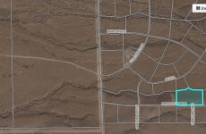 22680677