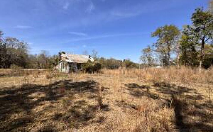 Pictures of Land property located at 3.13 Acres Skyland Farm Road, Williston, SC 29853 for sales - image #1