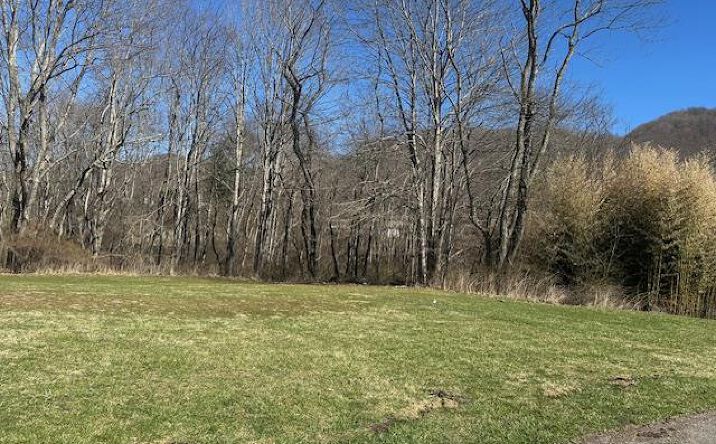 Pictures of Land property located at 000 James St, Bluefield, VA 24605 for sales - image #1