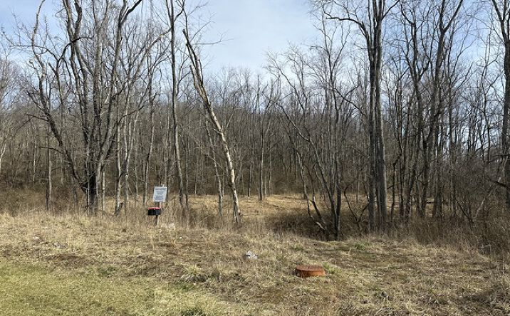 Pictures of Land property located at 00 Stonehurst Dr, Morgantown, WV 26501 for sales - image #1
