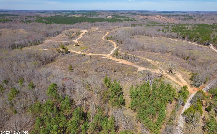 Pictures of Land, Mixed Use, Special Purpose property located at 0 Vista Lane, Bethel Springs, TN 38315 for sales - image #1