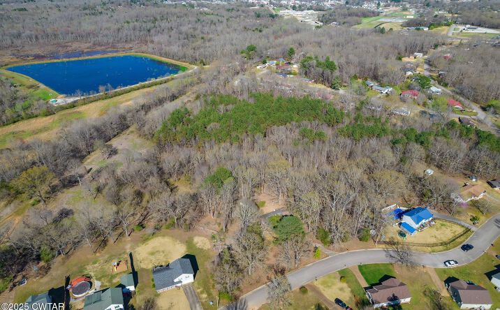 Pictures of Land property located at Dodd Street, Lexington, TN 38351 for sales - image #1