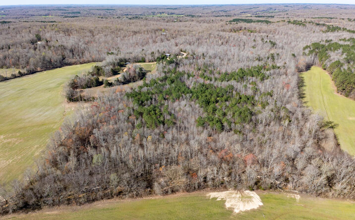 Pictures of Land, Mixed Use, Multifamily property located at 0 Chester Quinn Lane, Parsons, TN 38363 for sales - image #1