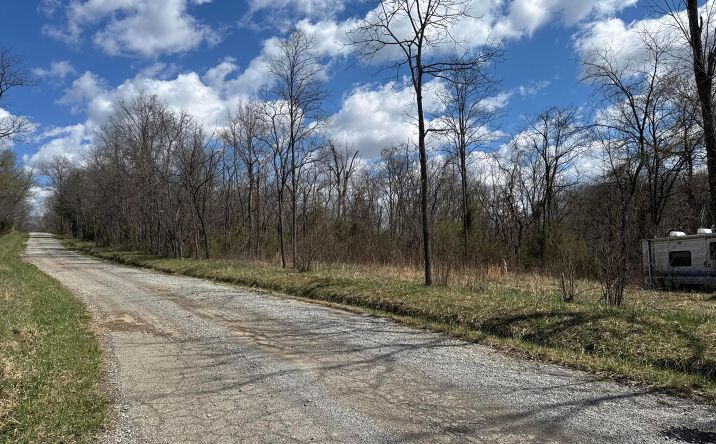 Pictures of Land property located at 0 Left Fork Road, Bidwell, OH 45614 for sales - image #1