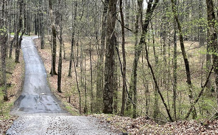 Pictures of Land property located at 7 Northwind Drive, Jackson, TN 38305 for sales - image #1