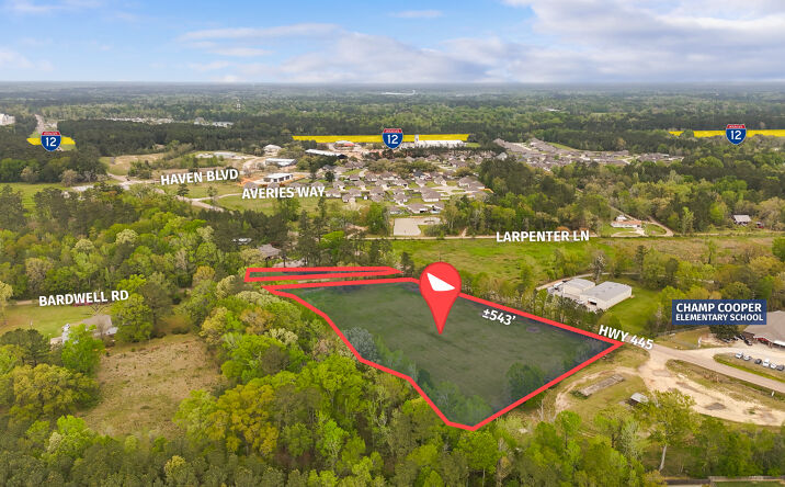 Pictures of Land property located at 42601 Hwy 445, Ponchatoula, LA 70454 for sales - image #1