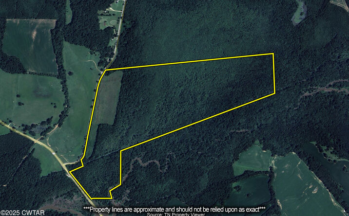 Pictures of Land property located at Lavinia Rd, Medina, TN 38355 for sales - image #1