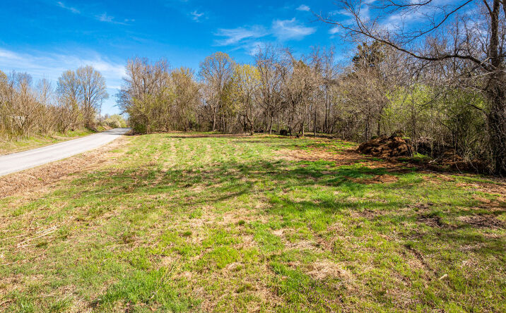 Pictures of Land property located at 118 Lavinia Rd, Medina, TN 38355 for sales - image #1
